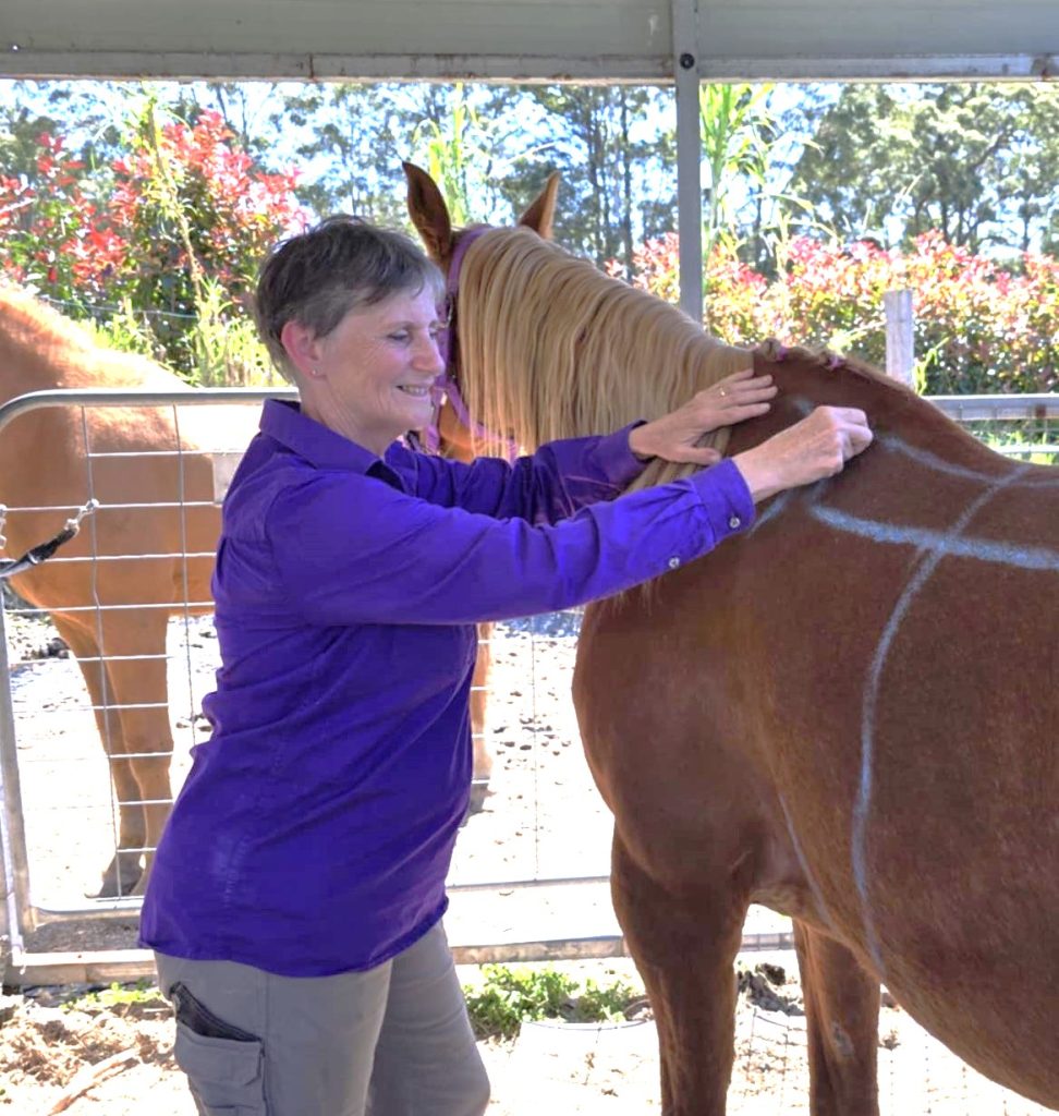 Gill Shepherd Holistic Saddlefitter Doesmysaddlefit