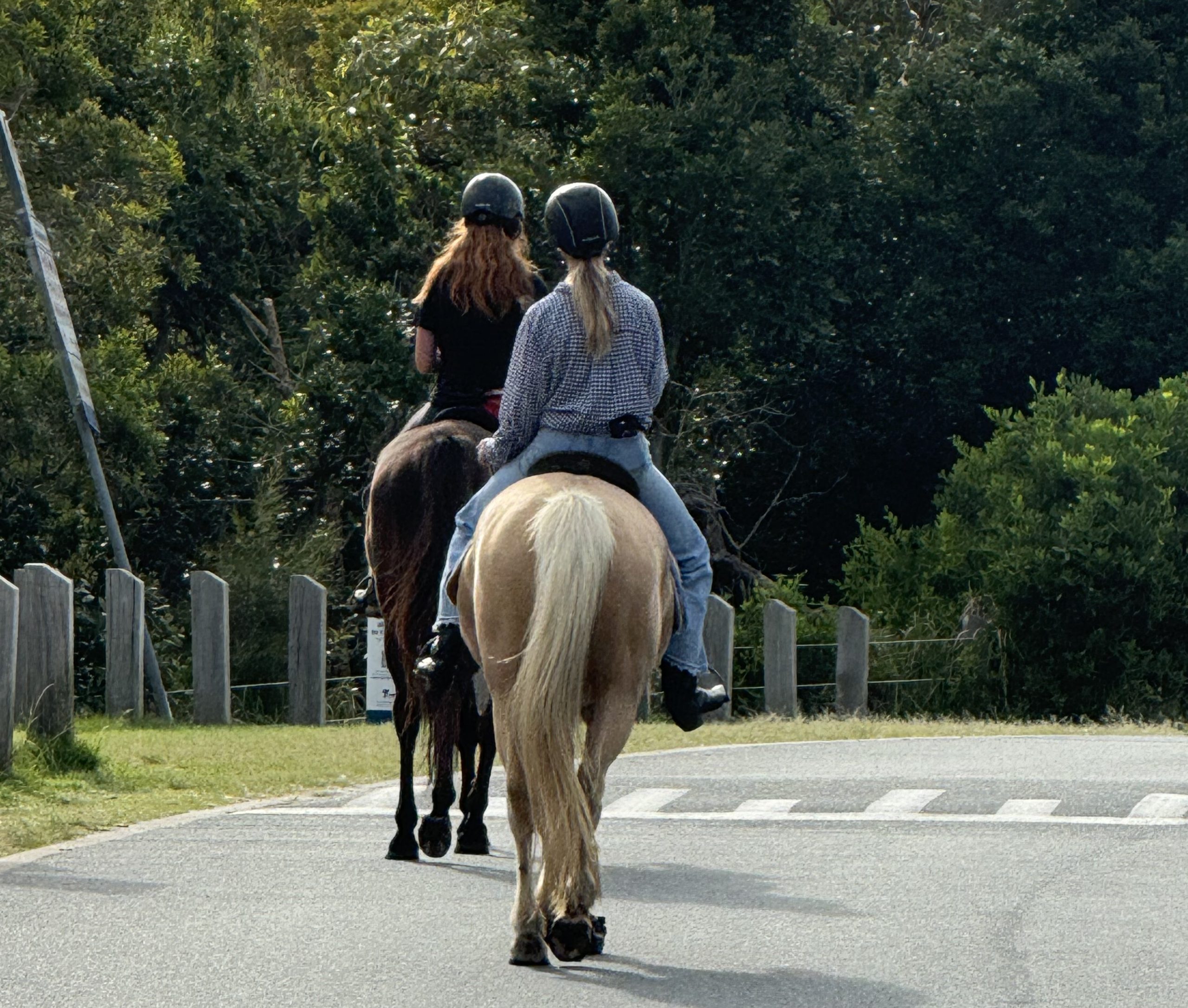 Horse rider showing signs of a saddlefit required
