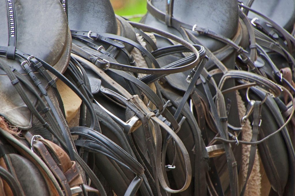 saddlefit tack room full of saddles that don't fit